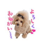 あいさつするちーくー（個別スタンプ：6）