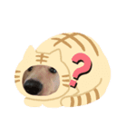 うちのダックス達（個別スタンプ：4）