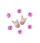 RiraRiraスタンプ（個別スタンプ：29）