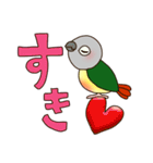 ウロコインコ でか文字（個別スタンプ：16）