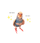 セキセイインコのちぃーちゃん2（個別スタンプ：5）