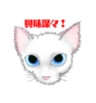 スカイと猫のレイン（個別スタンプ：15）