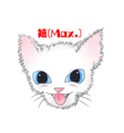 スカイと猫のレイン（個別スタンプ：18）