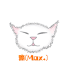 スカイと猫のレイン（個別スタンプ：19）