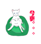 スカイと猫のレイン（個別スタンプ：27）