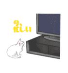 スカイと猫のレイン（個別スタンプ：32）