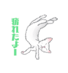 スカイと猫のレイン（個別スタンプ：34）