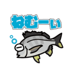 『営業S』魚スタンプ1番（個別スタンプ：7）