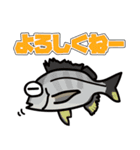 『営業S』魚スタンプ1番（個別スタンプ：18）