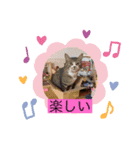 俺ん家のペット2（個別スタンプ：12）