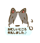 福よこいこい！動物のふきだしスタンプ（個別スタンプ：33）