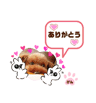 トイプーのげんちゃん 7月（個別スタンプ：18）