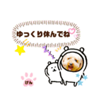トイプーのげんちゃん 7月（個別スタンプ：24）