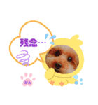 トイプーのげんちゃん 7月（個別スタンプ：27）