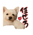 おハクさんとおマロさん②( ・∇・)（個別スタンプ：5）