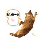 茶太郎＆黒子(たまに遠州弁)（個別スタンプ：10）