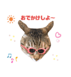 茶太郎＆黒子(たまに遠州弁)（個別スタンプ：11）