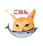茶太郎＆黒子(たまに遠州弁)（個別スタンプ：15）