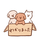 様々な犬 2（個別スタンプ：25）