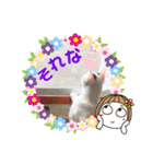 ウチの猫ちゃん2（個別スタンプ：3）