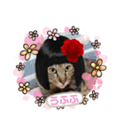 ウチの猫ちゃん2（個別スタンプ：5）