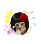 ウチの猫ちゃん2（個別スタンプ：6）