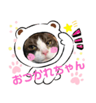 ウチの猫ちゃん2（個別スタンプ：14）
