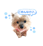 POLON's LIFE（個別スタンプ：7）
