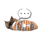 POLON's LIFE（個別スタンプ：14）