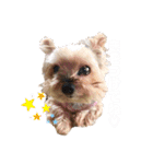 POLON's LIFE（個別スタンプ：24）