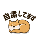 ふわもこ柴犬スタンプ4「密」（個別スタンプ：6）