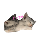 なっちゃんฅ•ω•ฅ（個別スタンプ：2）
