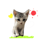 なっちゃんฅ•ω•ฅ（個別スタンプ：3）