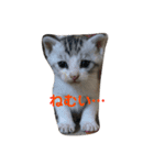 なっちゃんฅ•ω•ฅ（個別スタンプ：4）