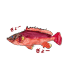おさかなです。（個別スタンプ：3）