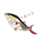 おさかなです。（個別スタンプ：6）