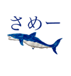 おさかなです。（個別スタンプ：8）