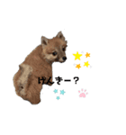 ナゾなstamp（個別スタンプ：2）