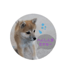 ナゾなstamp（個別スタンプ：3）