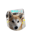 ナゾなstamp（個別スタンプ：5）