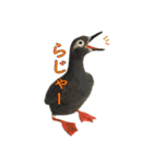 リアルな羊毛フェルトの野鳥たち2（個別スタンプ：5）