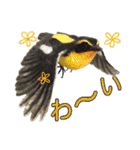 リアルな羊毛フェルトの野鳥たち2（個別スタンプ：22）
