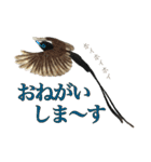 リアルな羊毛フェルトの野鳥たち2（個別スタンプ：26）