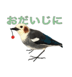 リアルな羊毛フェルトの野鳥たち2（個別スタンプ：35）
