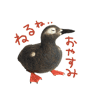 リアルな羊毛フェルトの野鳥たち2（個別スタンプ：39）