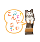 ルパさん パート2（個別スタンプ：6）