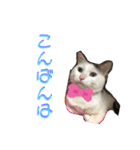 ルパさん パート2（個別スタンプ：7）