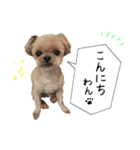 西原家のスタンプ2020（個別スタンプ：2）