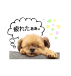 西原家のスタンプ2020（個別スタンプ：6）