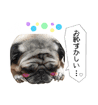 西原家のスタンプ2020（個別スタンプ：34）